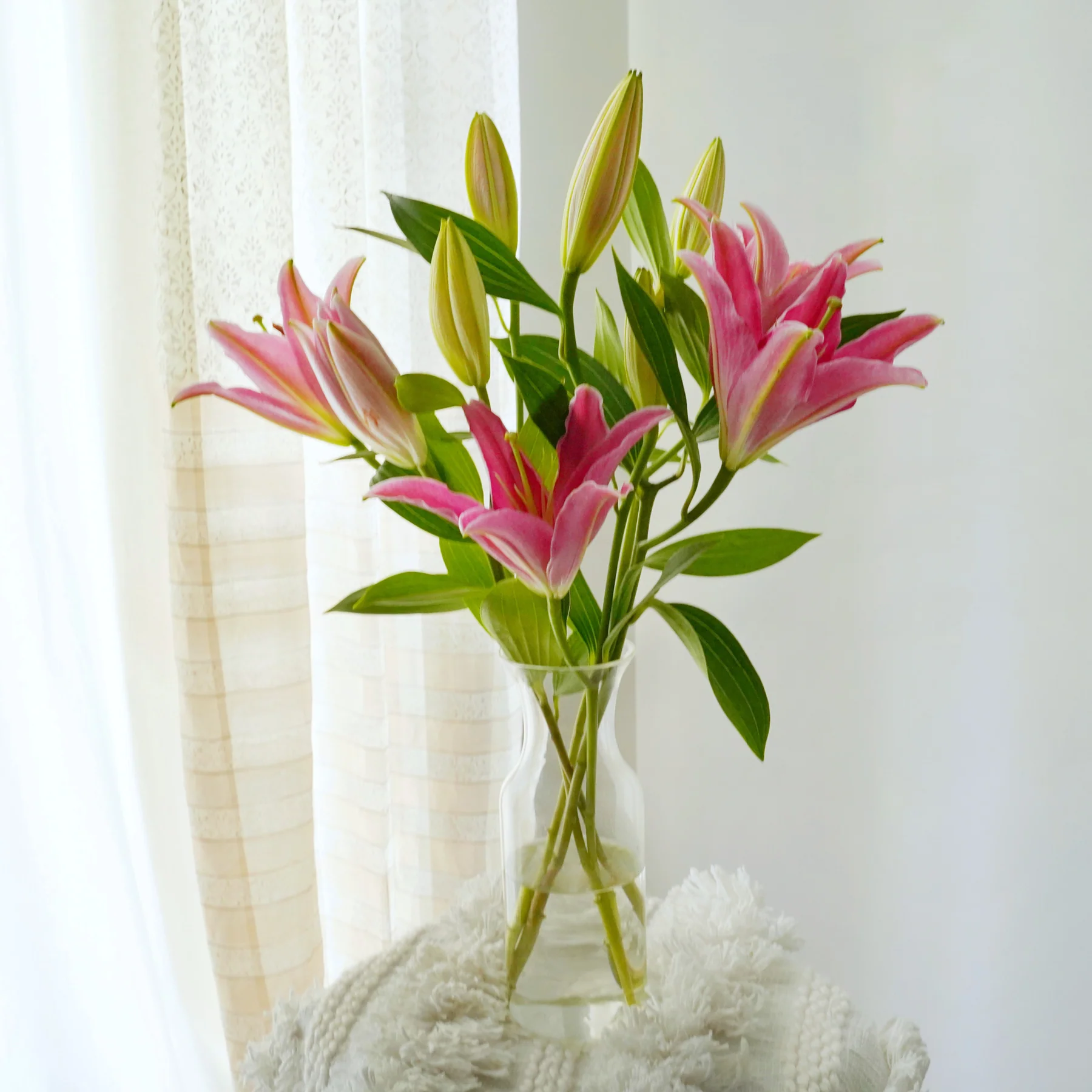 5 Stems - Oriental Pink Lilies