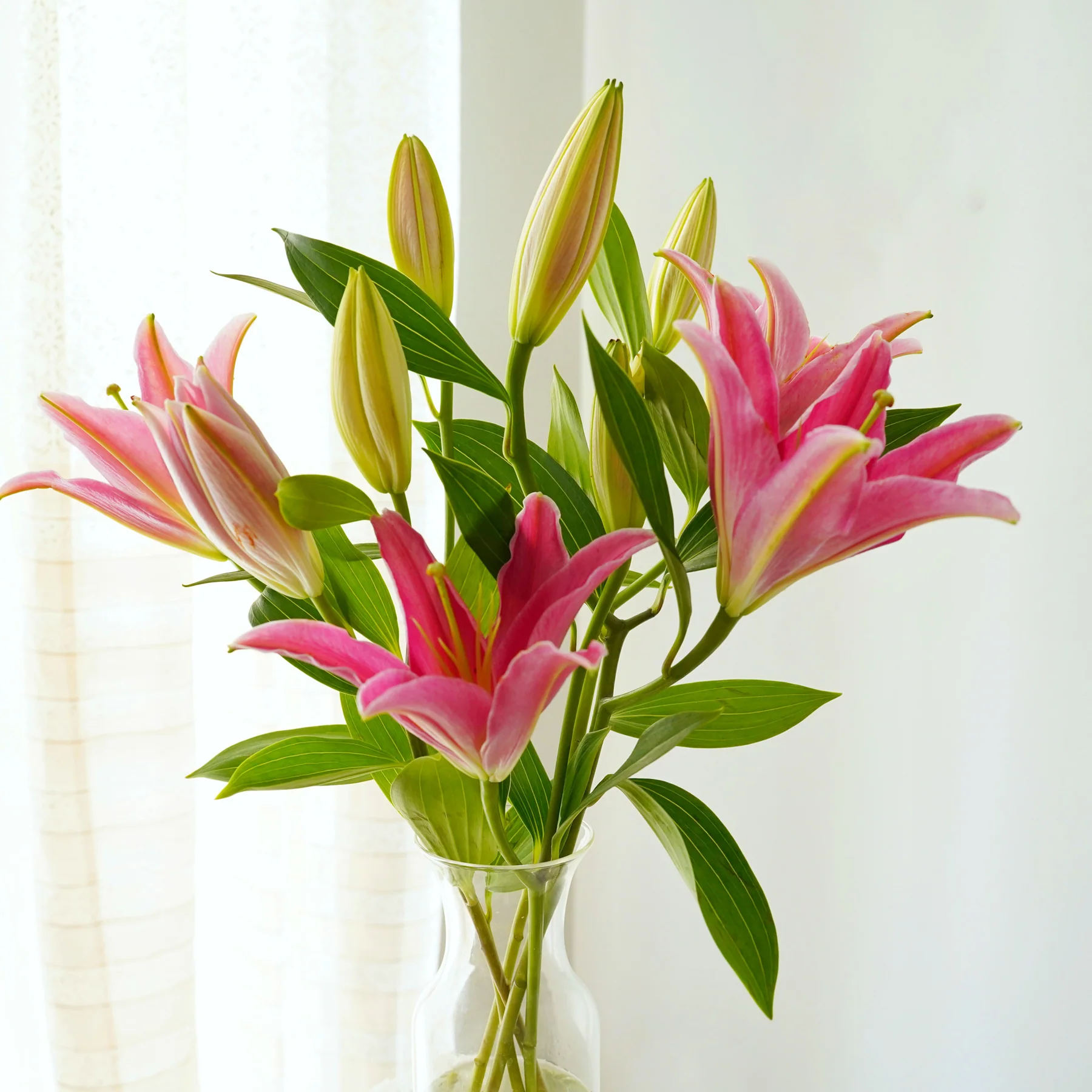 ORIENTAL LILY – 5 Stems