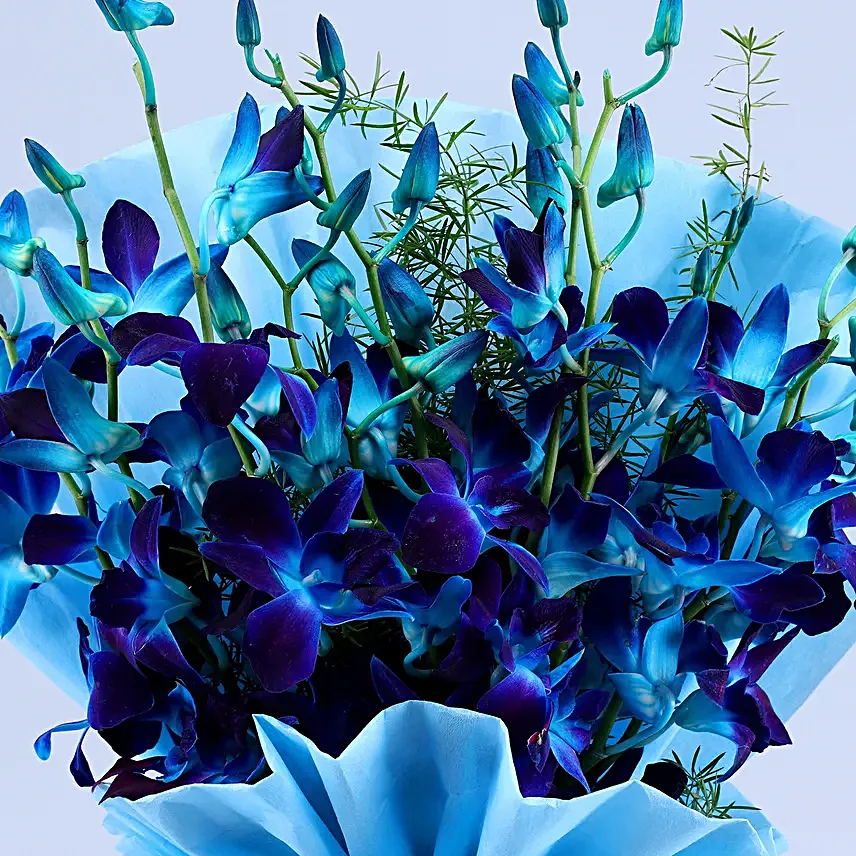 mesmerising-blue-orchids-bouquet_4