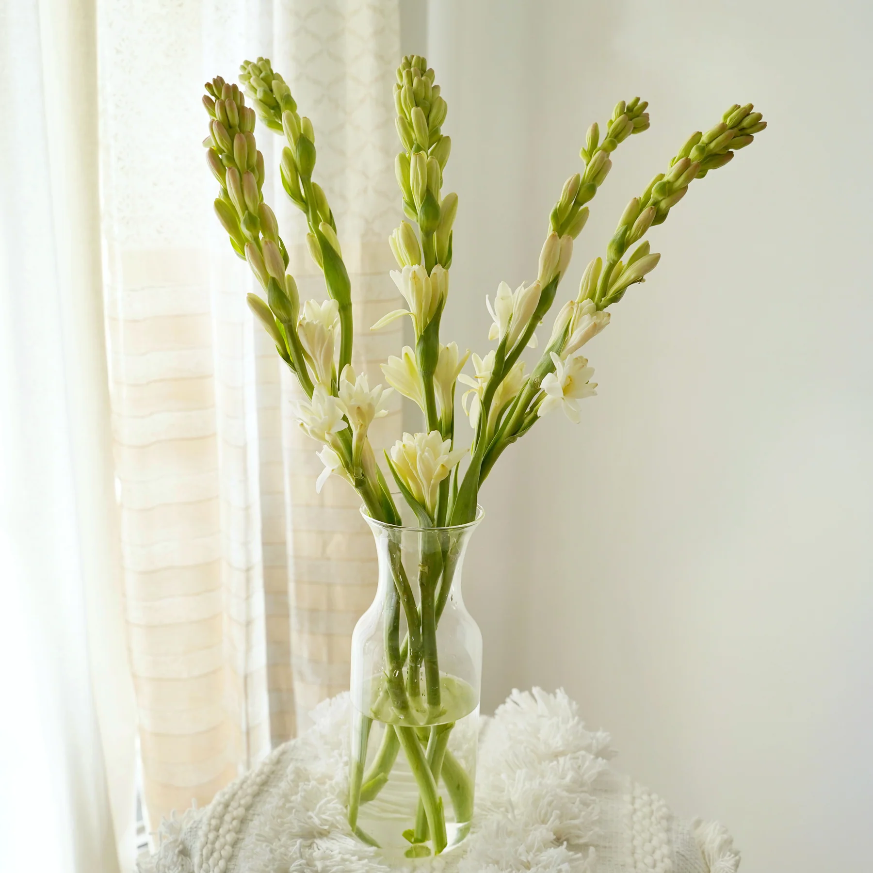 Tuberose - 5 Stems